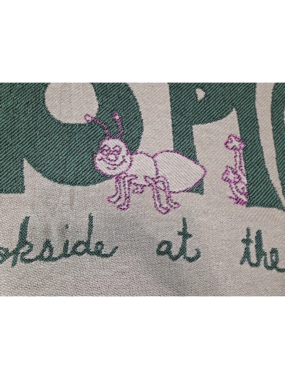 Brookside This Ain't No Picnic Throw Blanket Rose Bowl '22